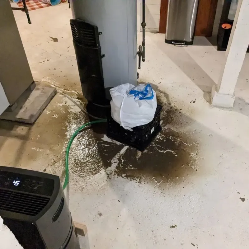 Sewage Backup Cleanup Service in Riverside, AL